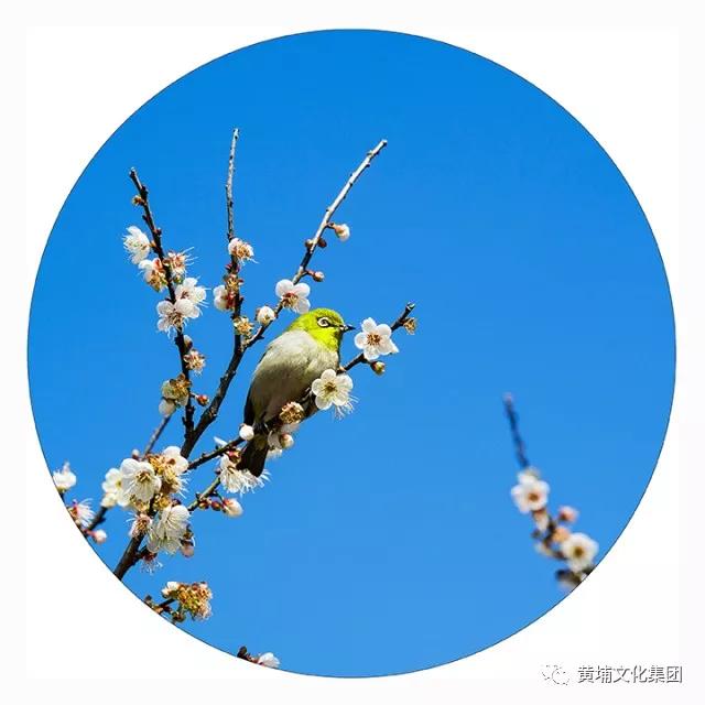 微信圖片_20180314150307.jpg 微信圖片_20180314150307.jpg