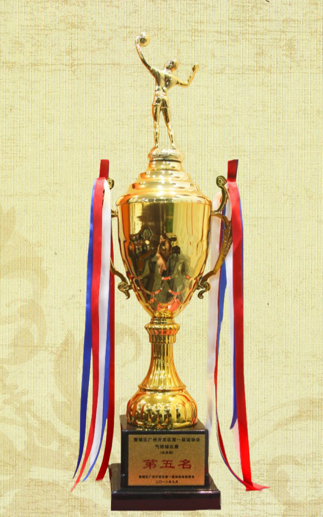 黃埔區(qū)廣州開(kāi)發(fā)區(qū)第一屆運(yùn)動(dòng)會(huì)氣排球比賽第五名1.jpg