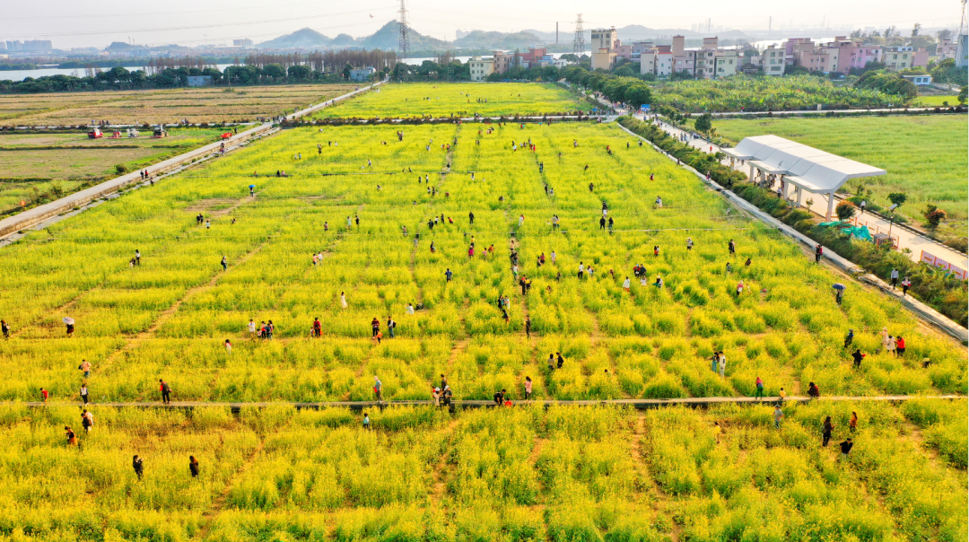 微信圖片_20210624153520.png 微信圖片_20210624153520.png