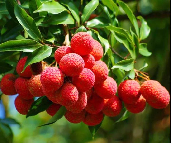 微信圖片_20210625100443.jpg 微信圖片_20210625100443.jpg