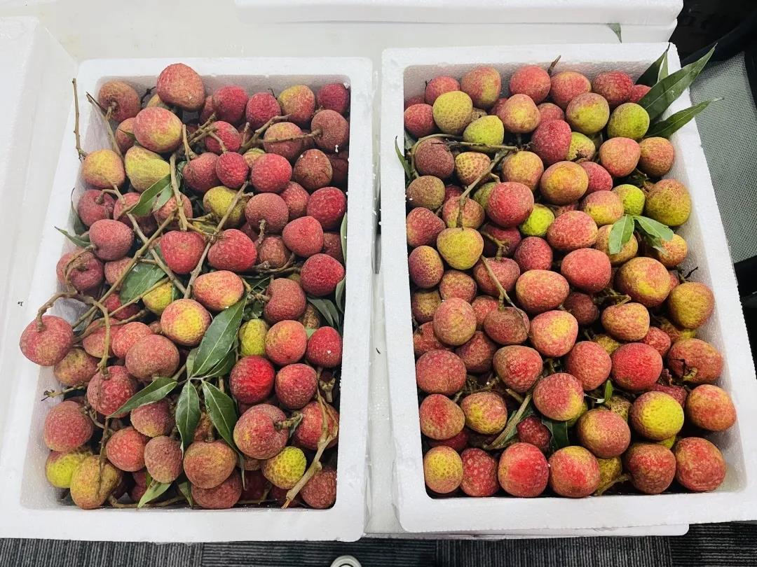 微信圖片_20210625101359.jpg 微信圖片_20210625101359.jpg