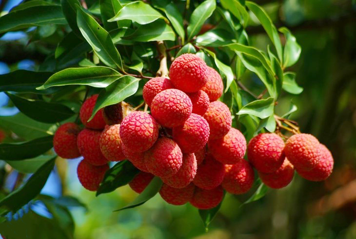 微信圖片_20210628100038.png 微信圖片_20210628100038.png