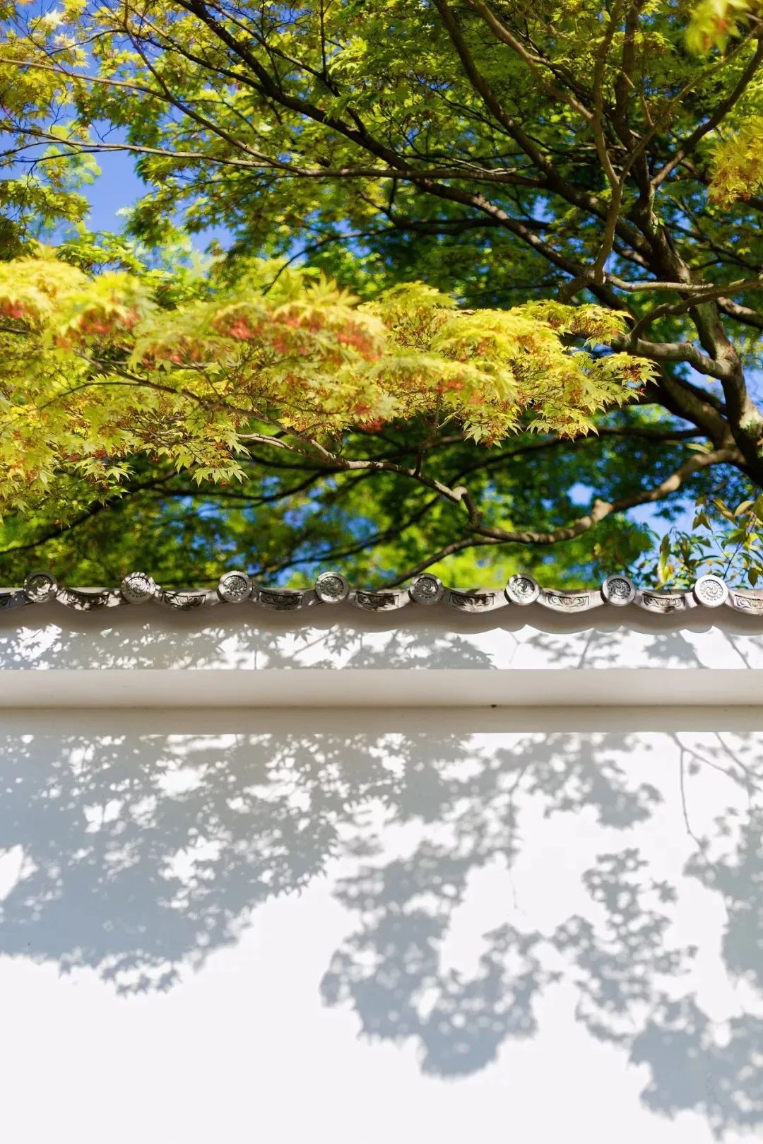 微信圖片_20210813093628.jpg 微信圖片_20210813093628.jpg