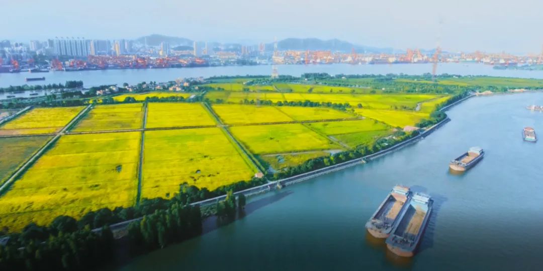 微信圖片_20210922102418.jpg 微信圖片_20210922102418.jpg